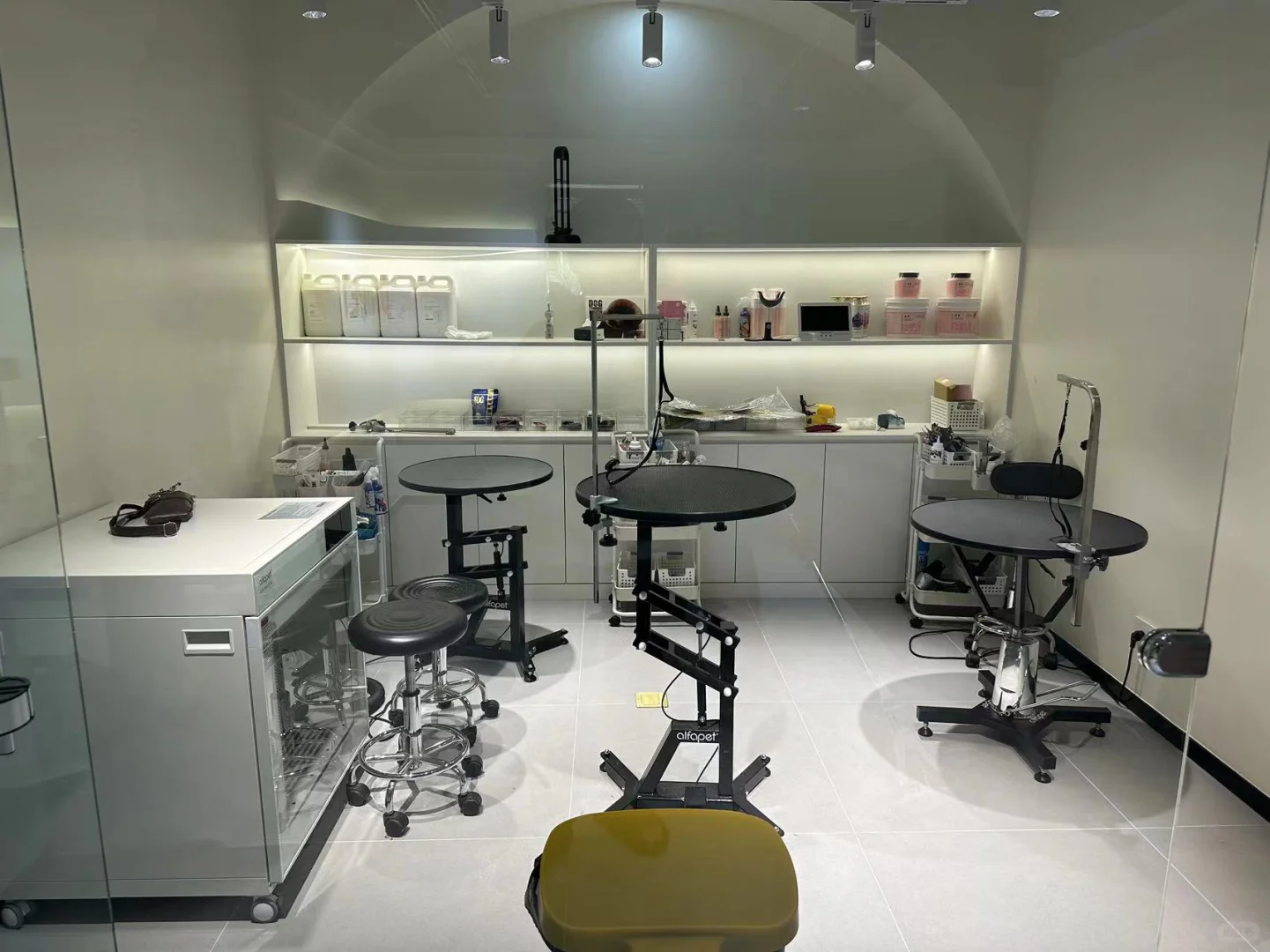 宝藏设备商服！你需要的宠物设备全都有！