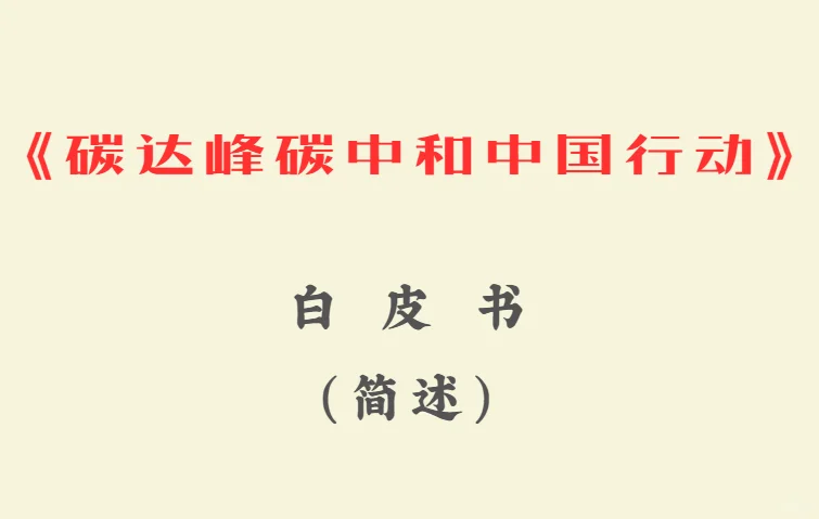 《碳达峰碳中和中国行动计划白皮书》简述