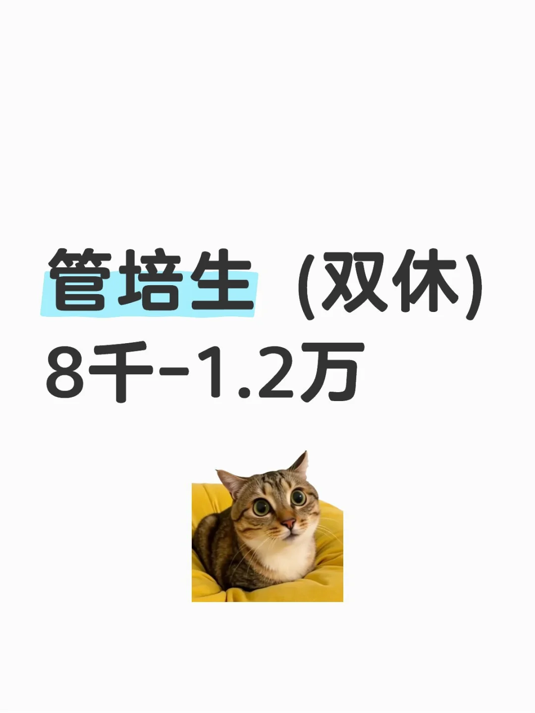 管培生 (双休) 8k-1.2w