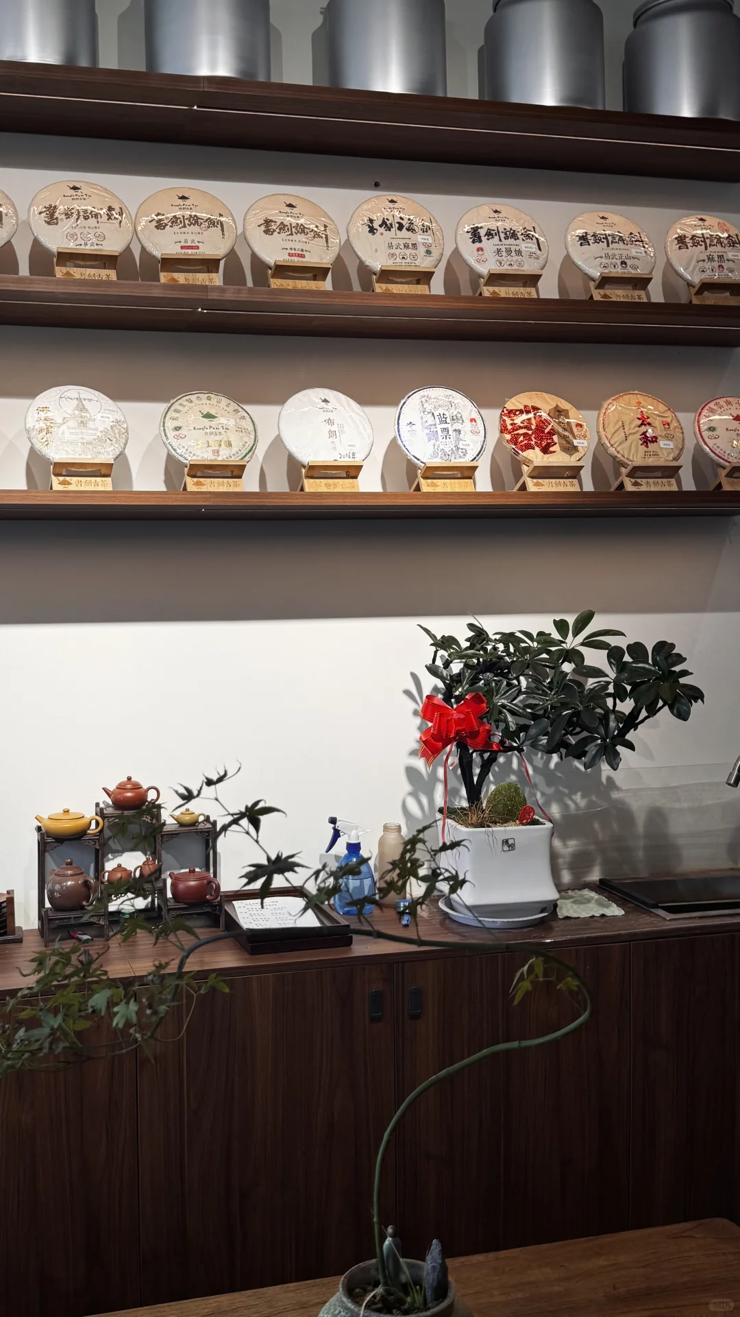 邹城?休闲好去处