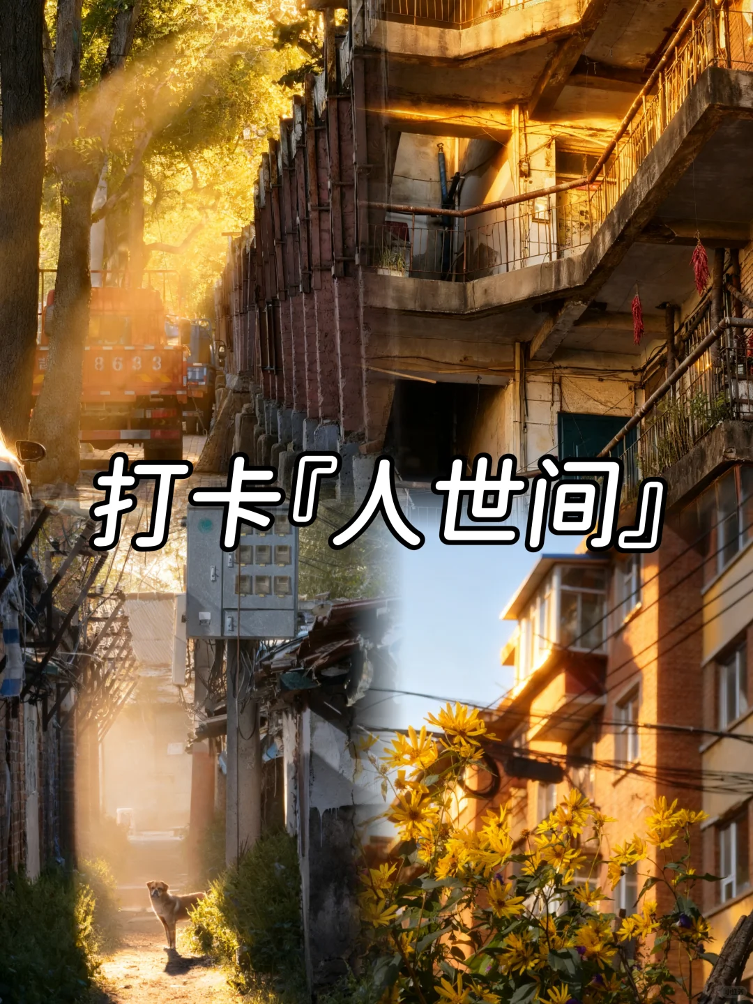 吉林市丨国庆节冷门人少出片打卡加美食攻略