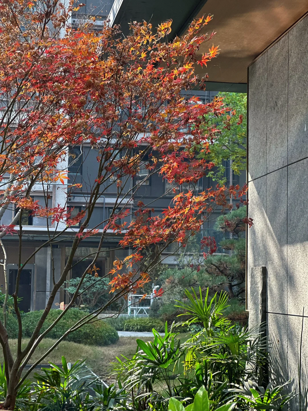 建筑与自然的诗意共生[哇]