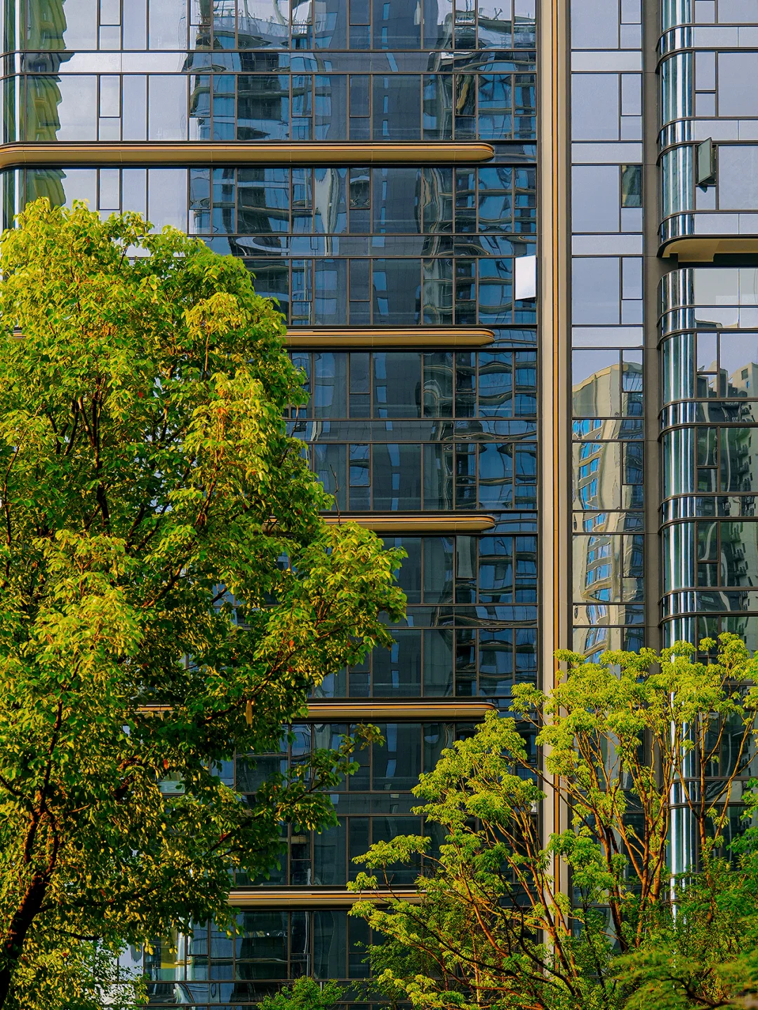 是不是建筑同行也会来参观我们小区