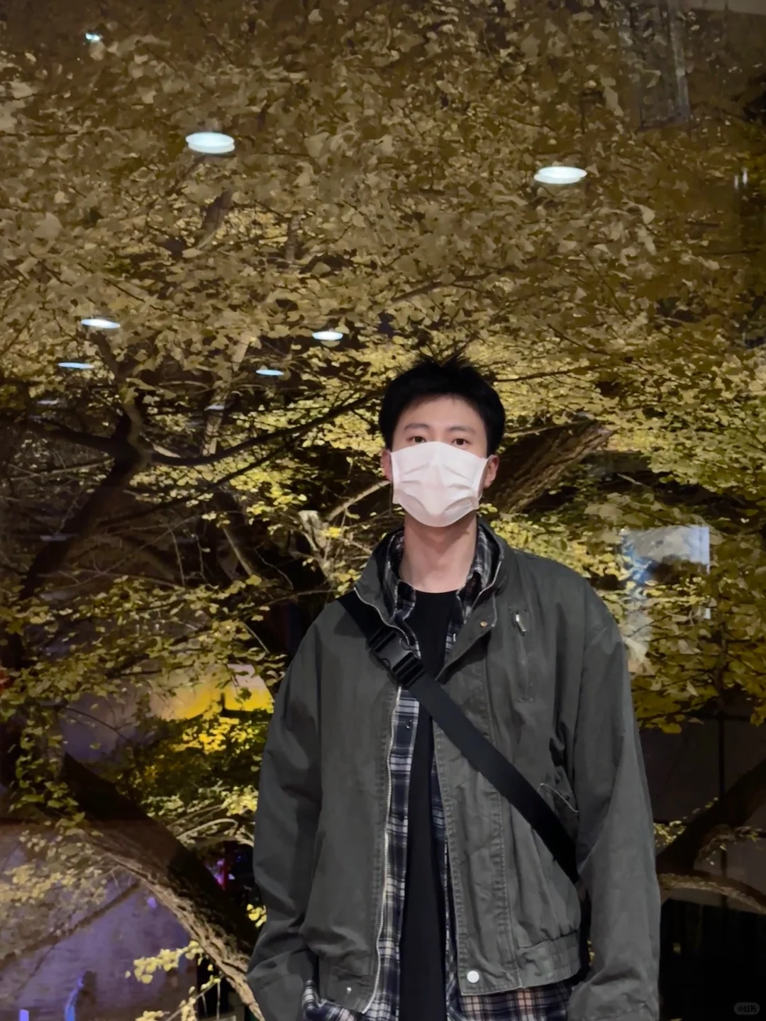 赶上了北平的秋?