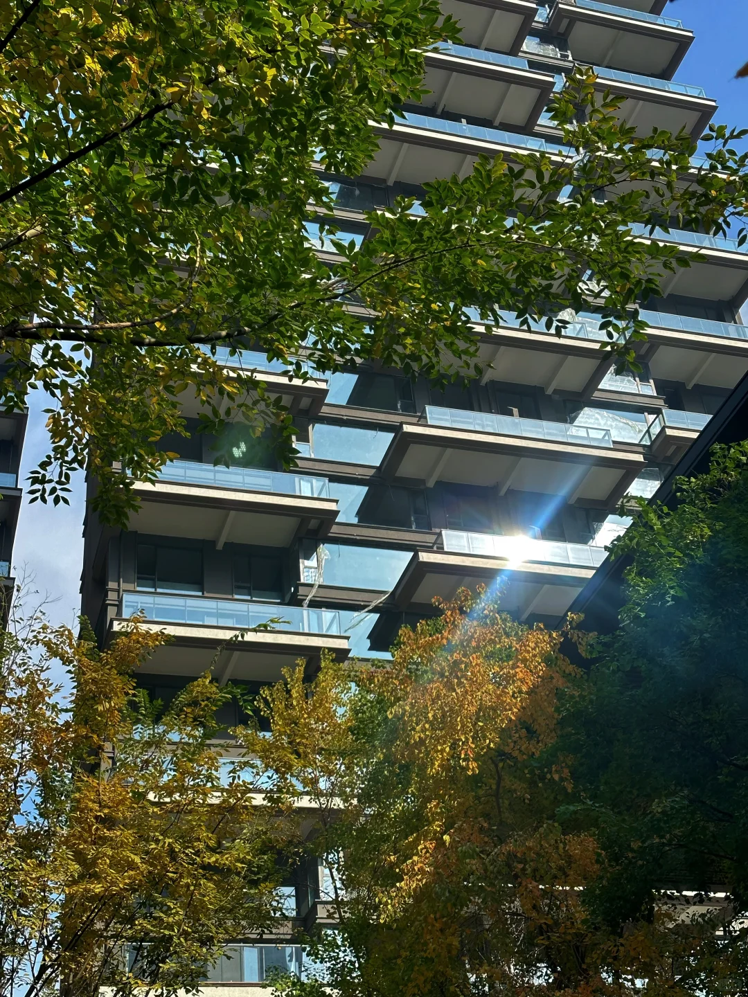 建筑与自然的诗意共生[哇]