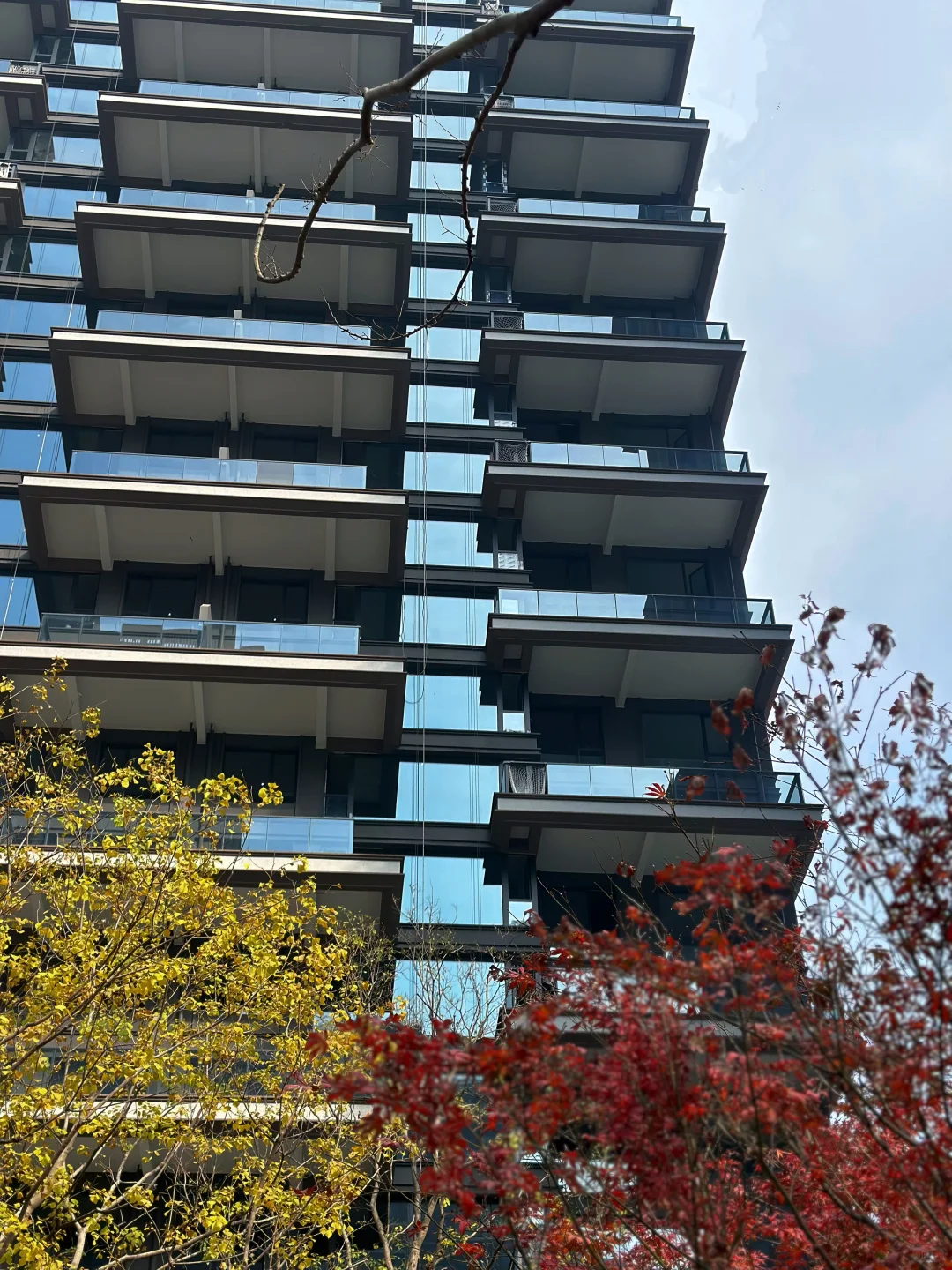 建筑与自然的诗意共生[哇]