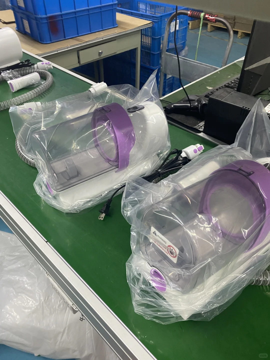 谁懂，宠物公司上班的日常在干些什么？