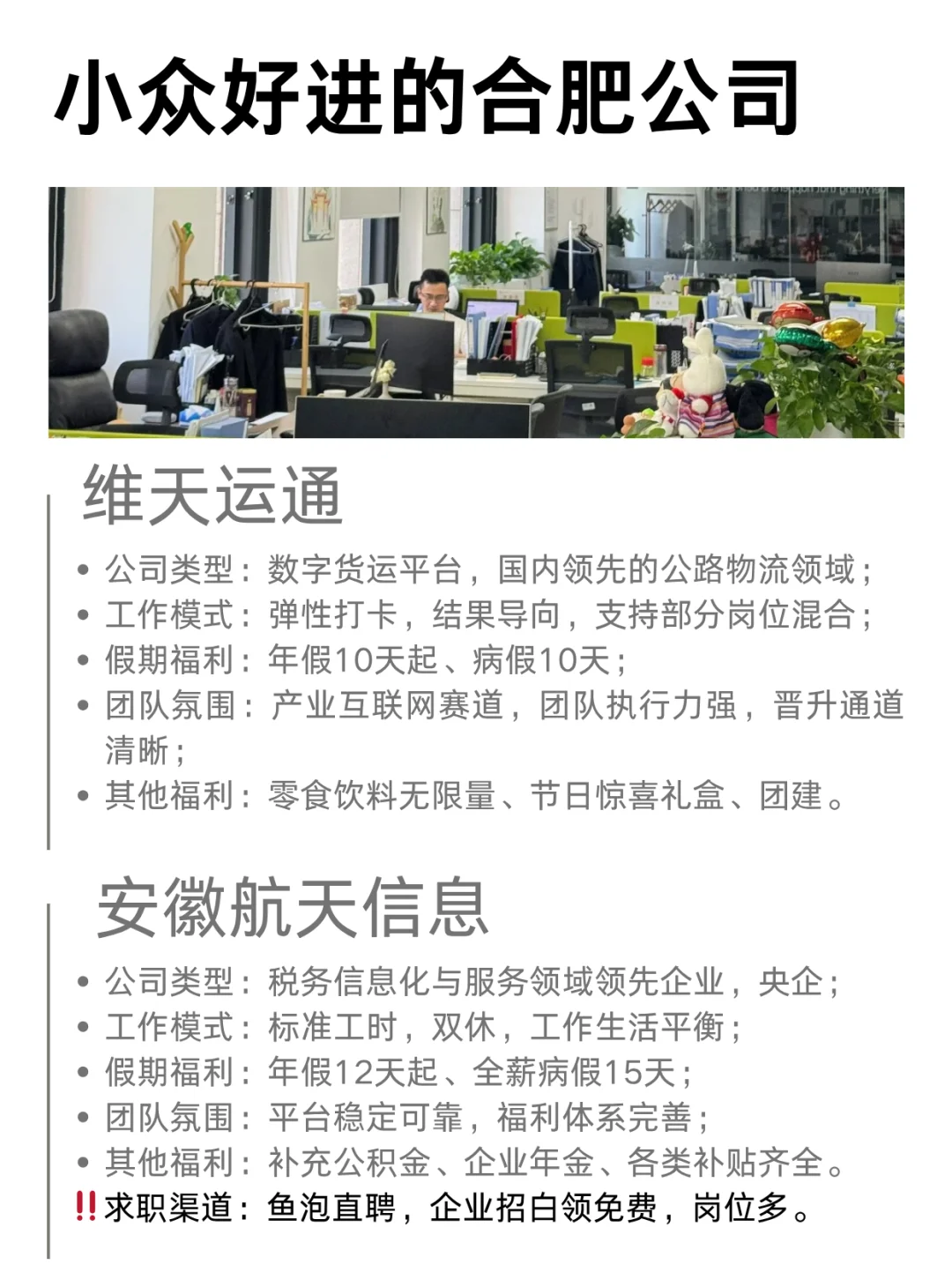 合肥看过来！合肥小众好进公司合集✨