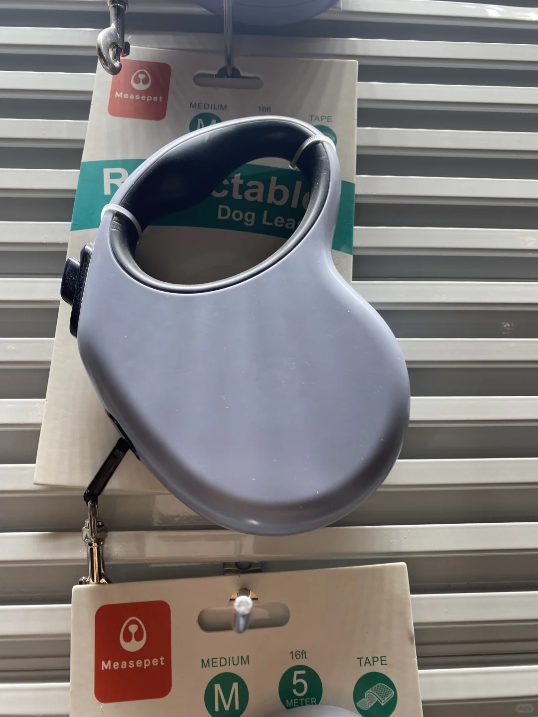 谁懂，宠物公司上班的日常在干些什么？