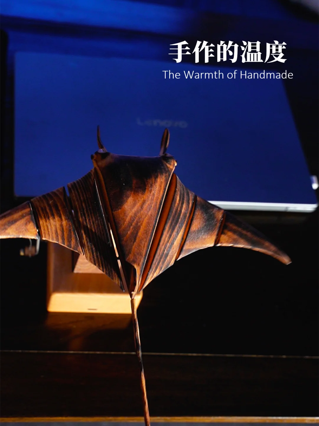 眼巴巴的看着自己和“它”