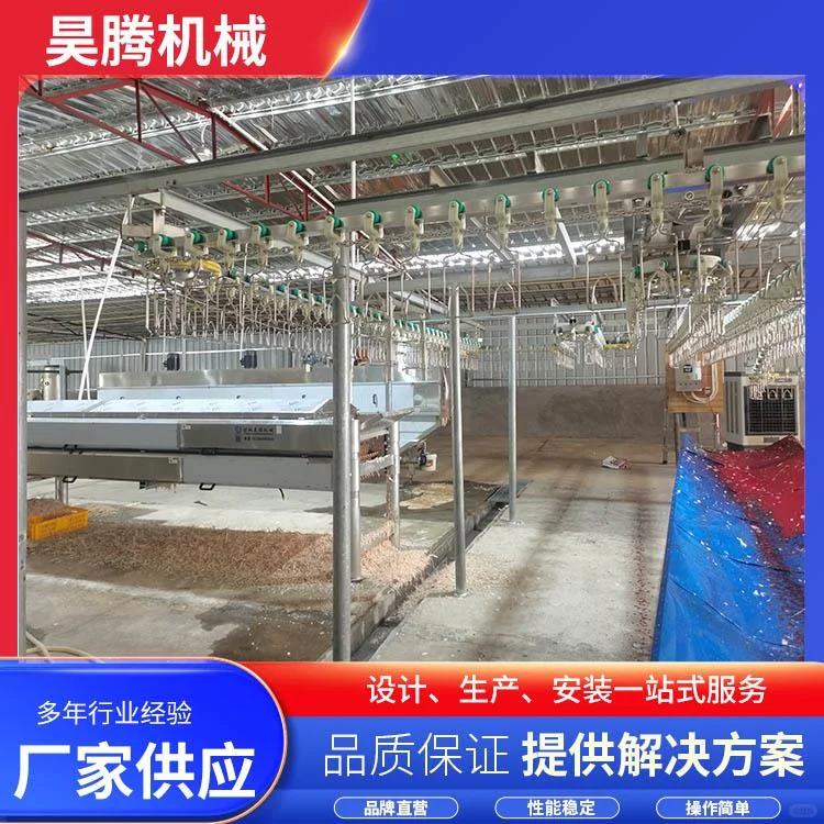 海南鸽子屠宰线厂商白皮书