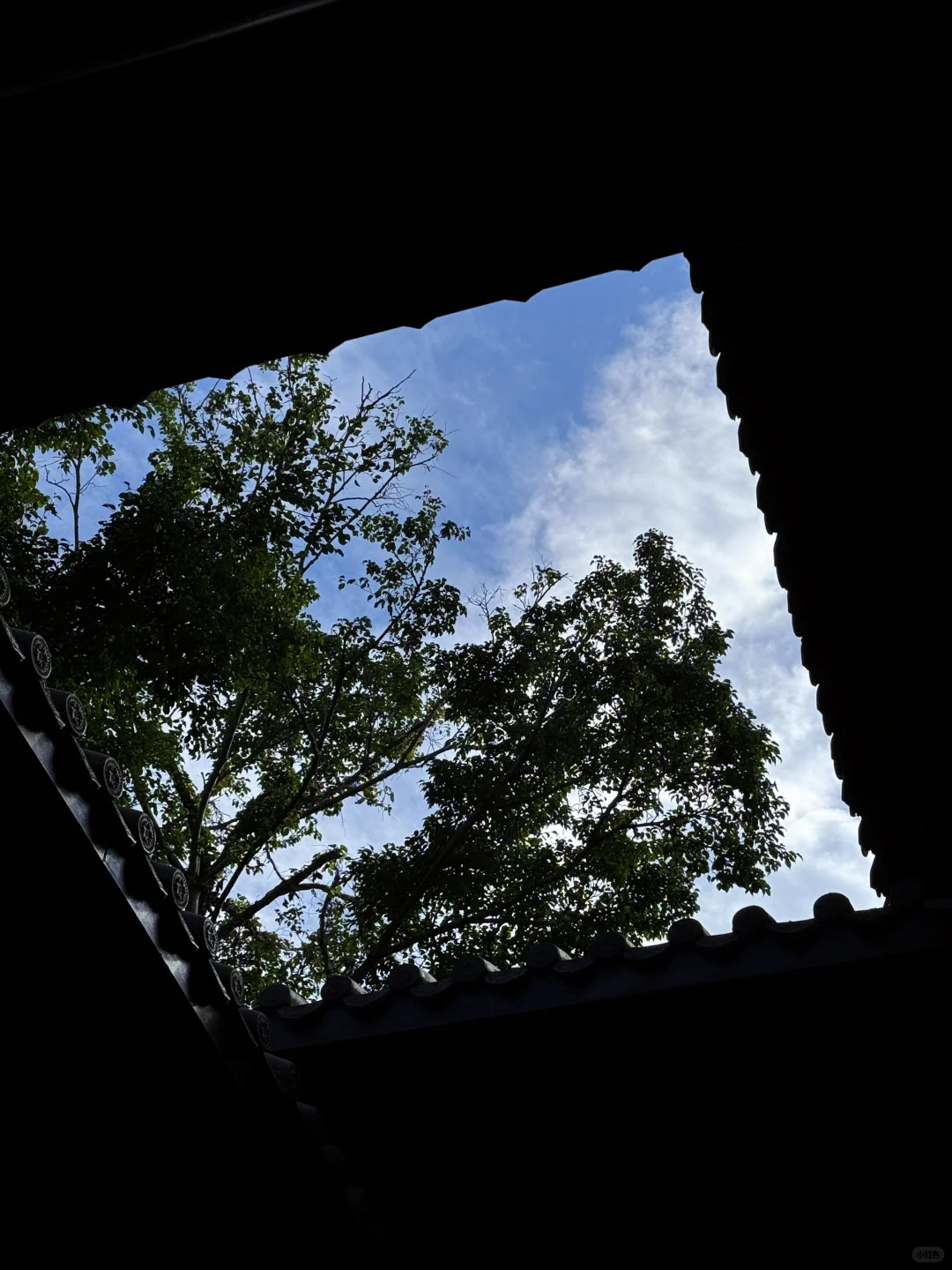 雕版印刷DIY?｜百人活动 非遗传承?