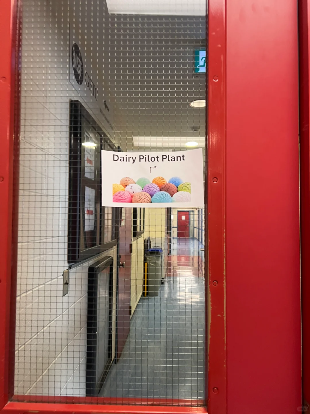 ??‍?冰淇淋生产线女工的一天