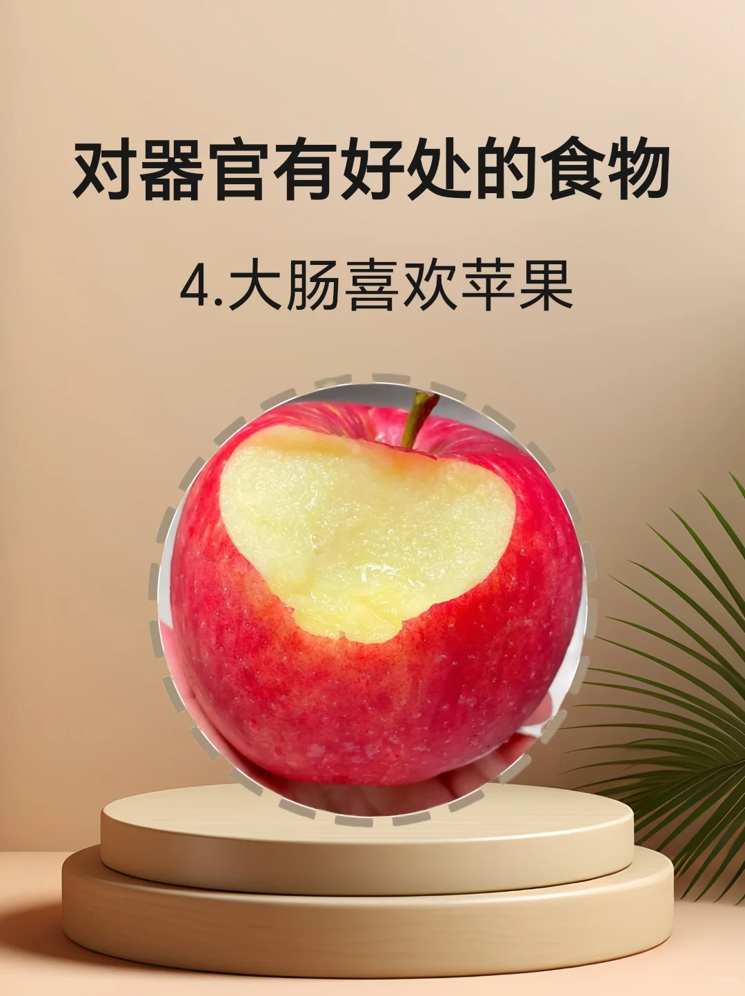 对身体器官有好处的食物