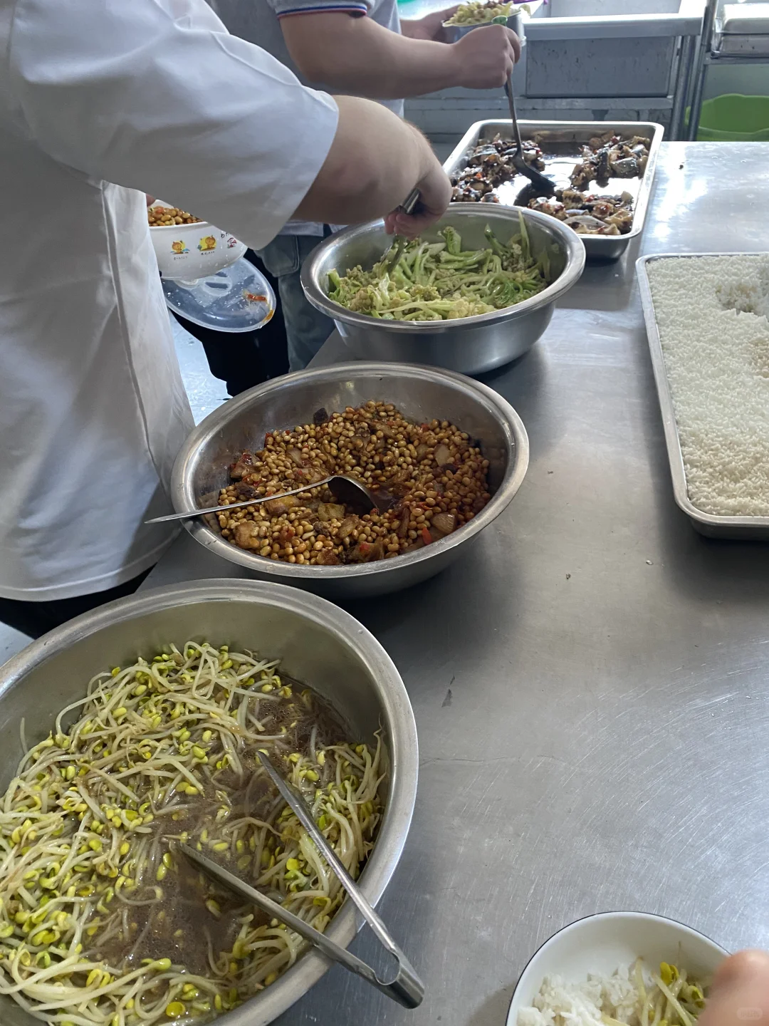 谁懂，宠物公司上班的日常在干些什么？