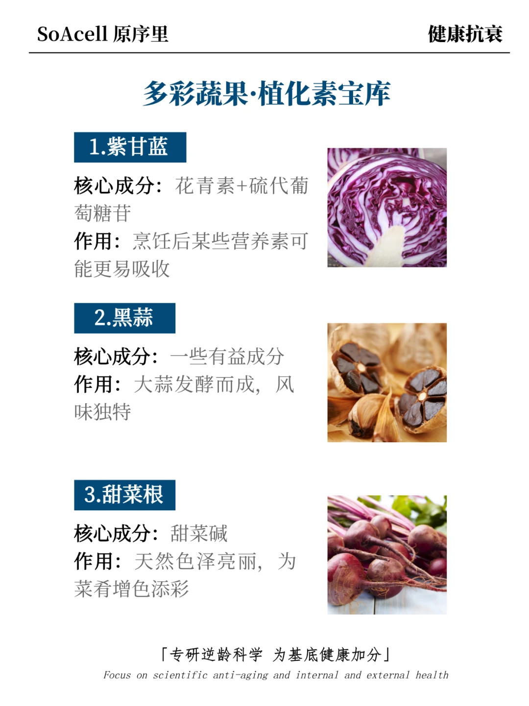 吃出好状态，20种常被营养师提及的食物