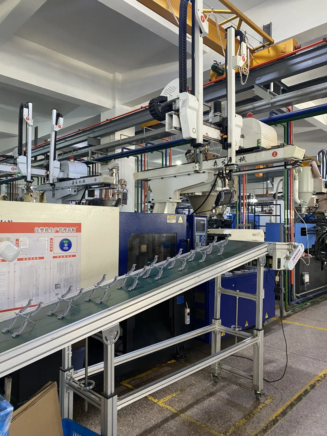 谁懂，宠物公司上班的日常在干些什么？