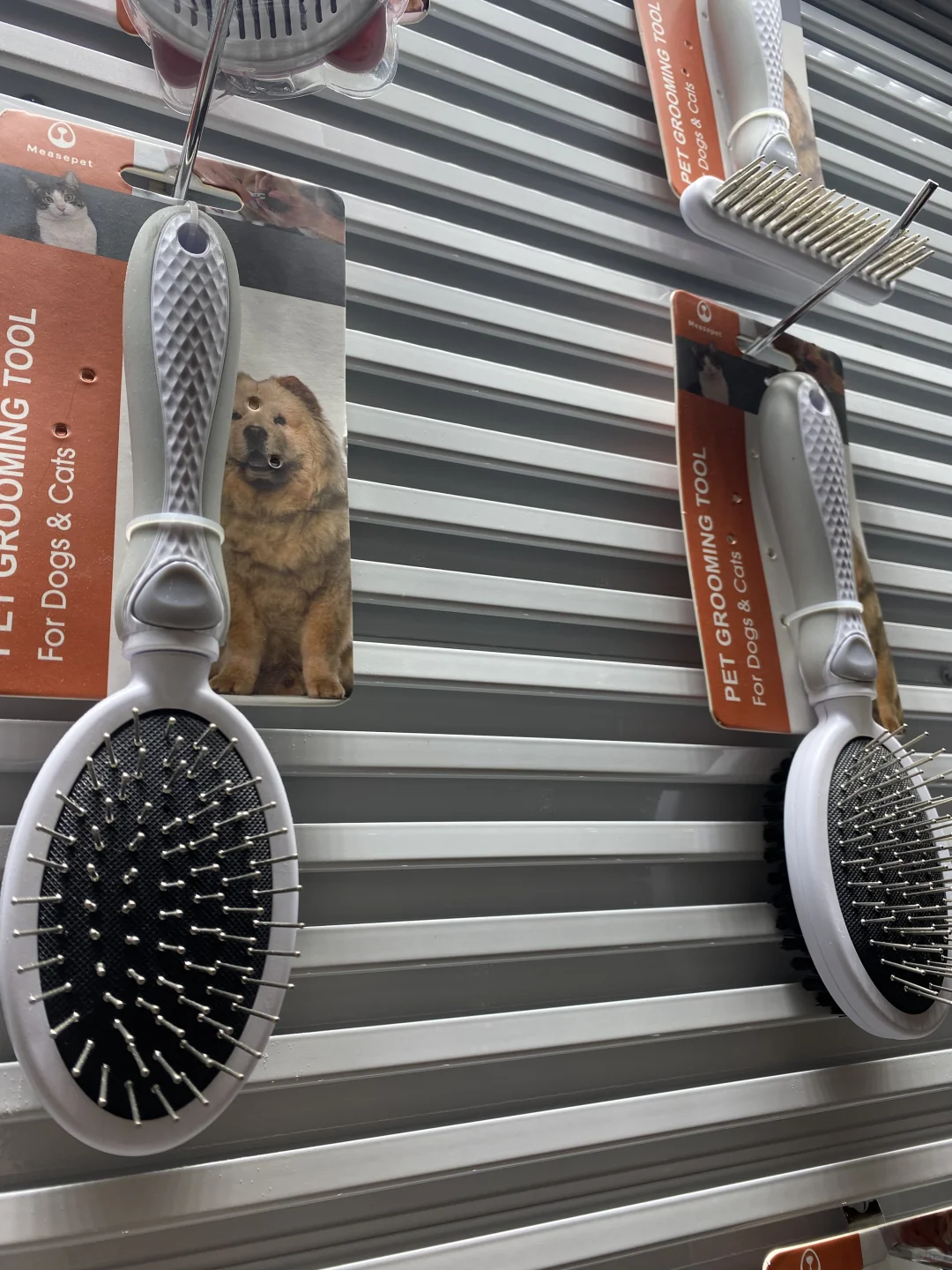 谁懂，宠物公司上班的日常在干些什么？