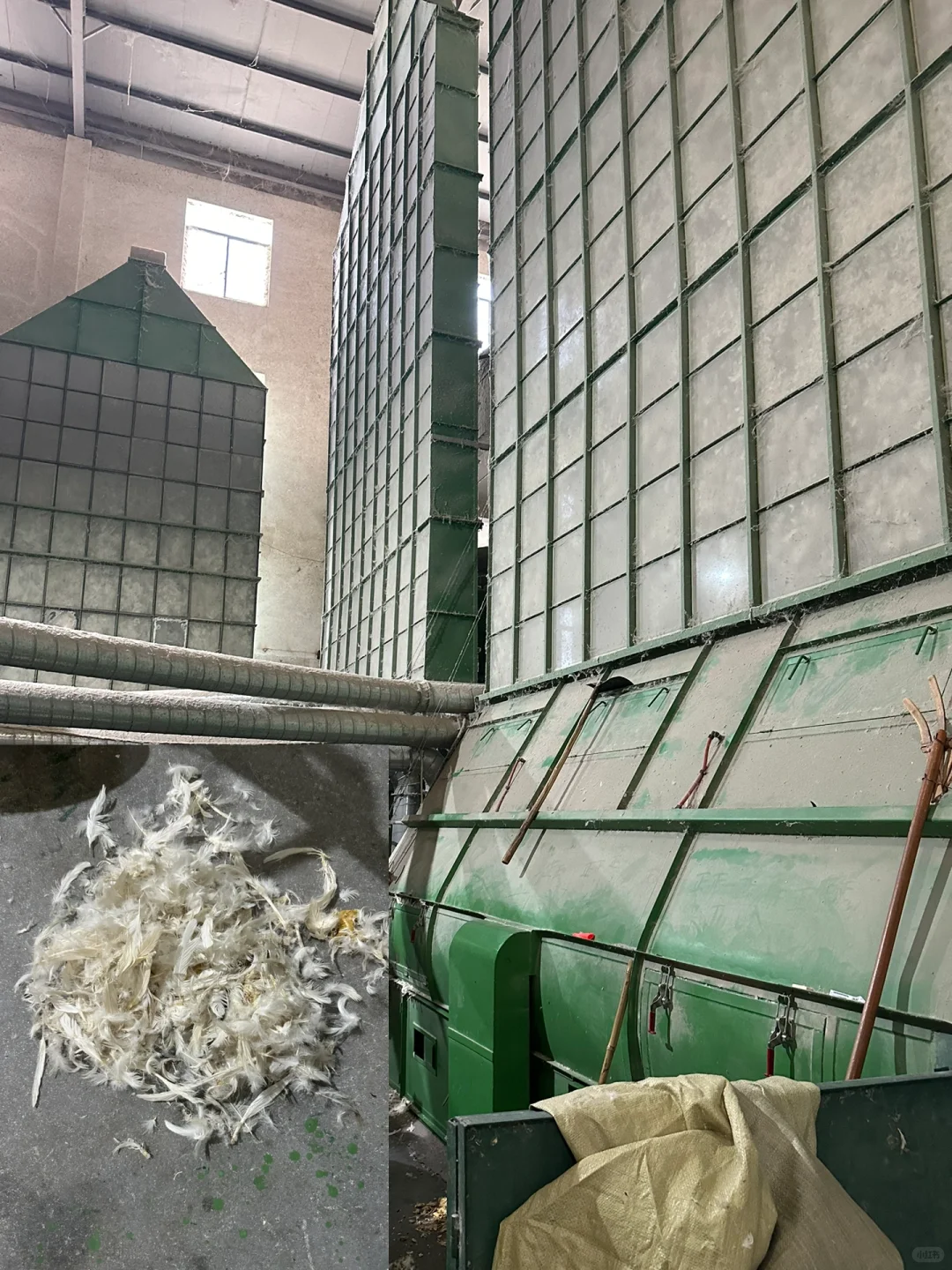 羽绒“漂流”记一