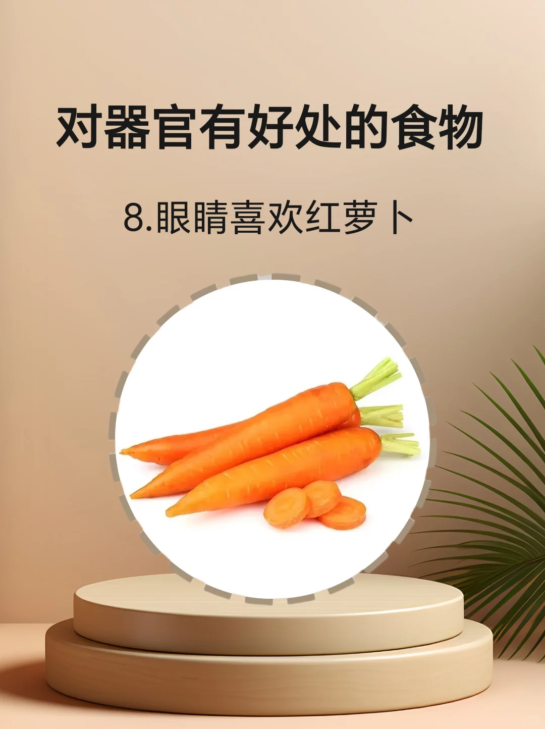 对身体器官有好处的食物