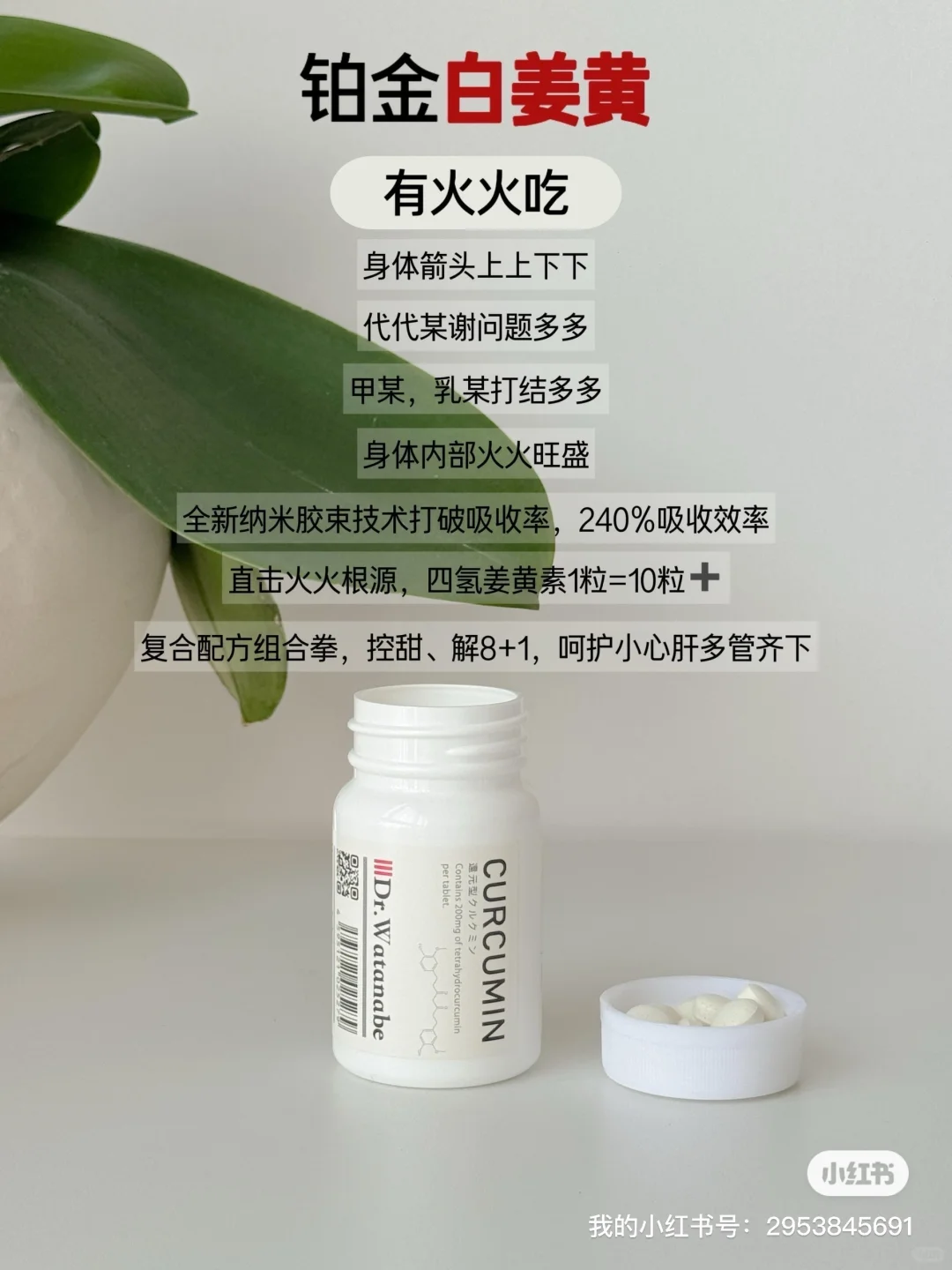 四款内调王炸，教你躺赢开挂！