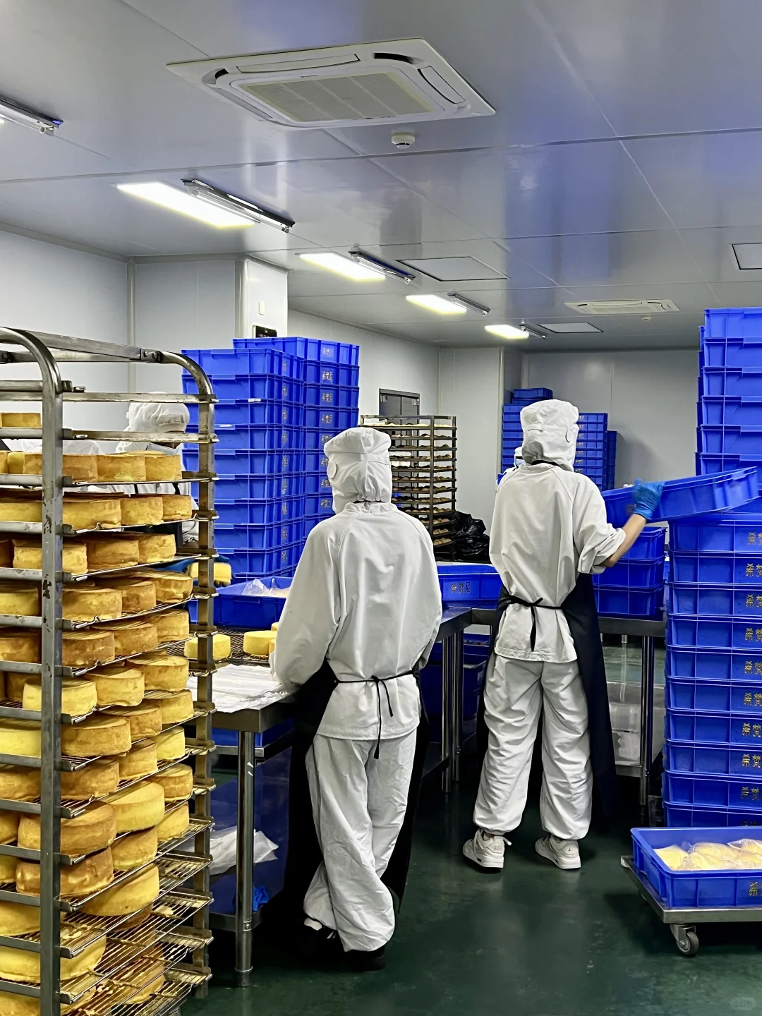 走进希梵尼工厂