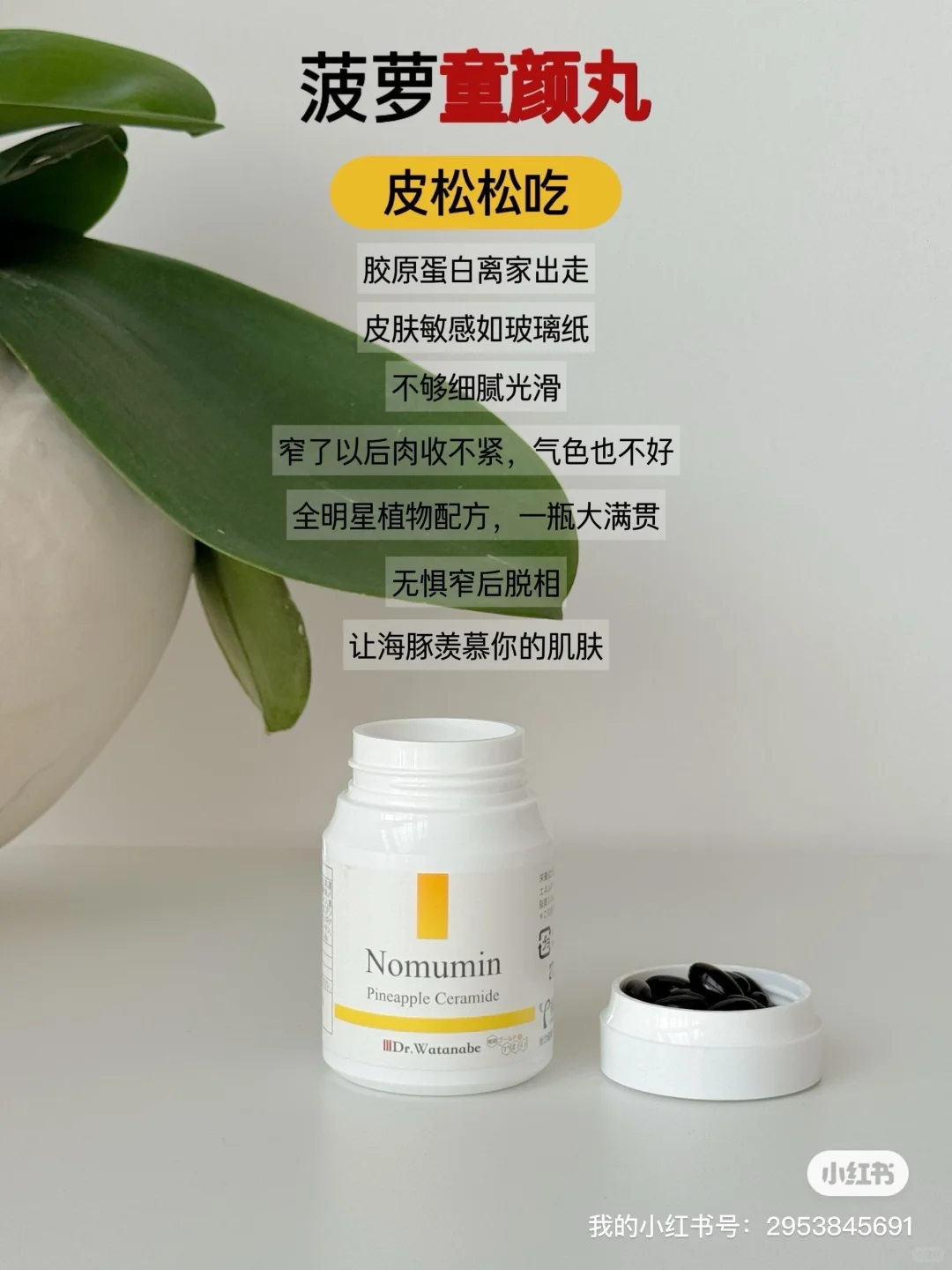 四款内调王炸，教你躺赢开挂！