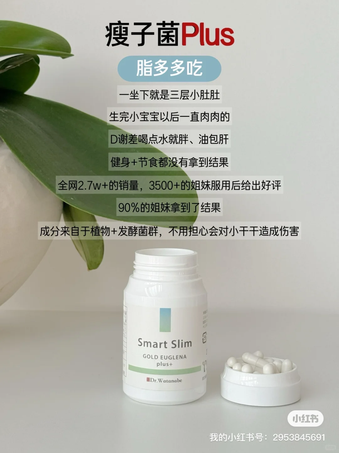 四款内调王炸，教你躺赢开挂！