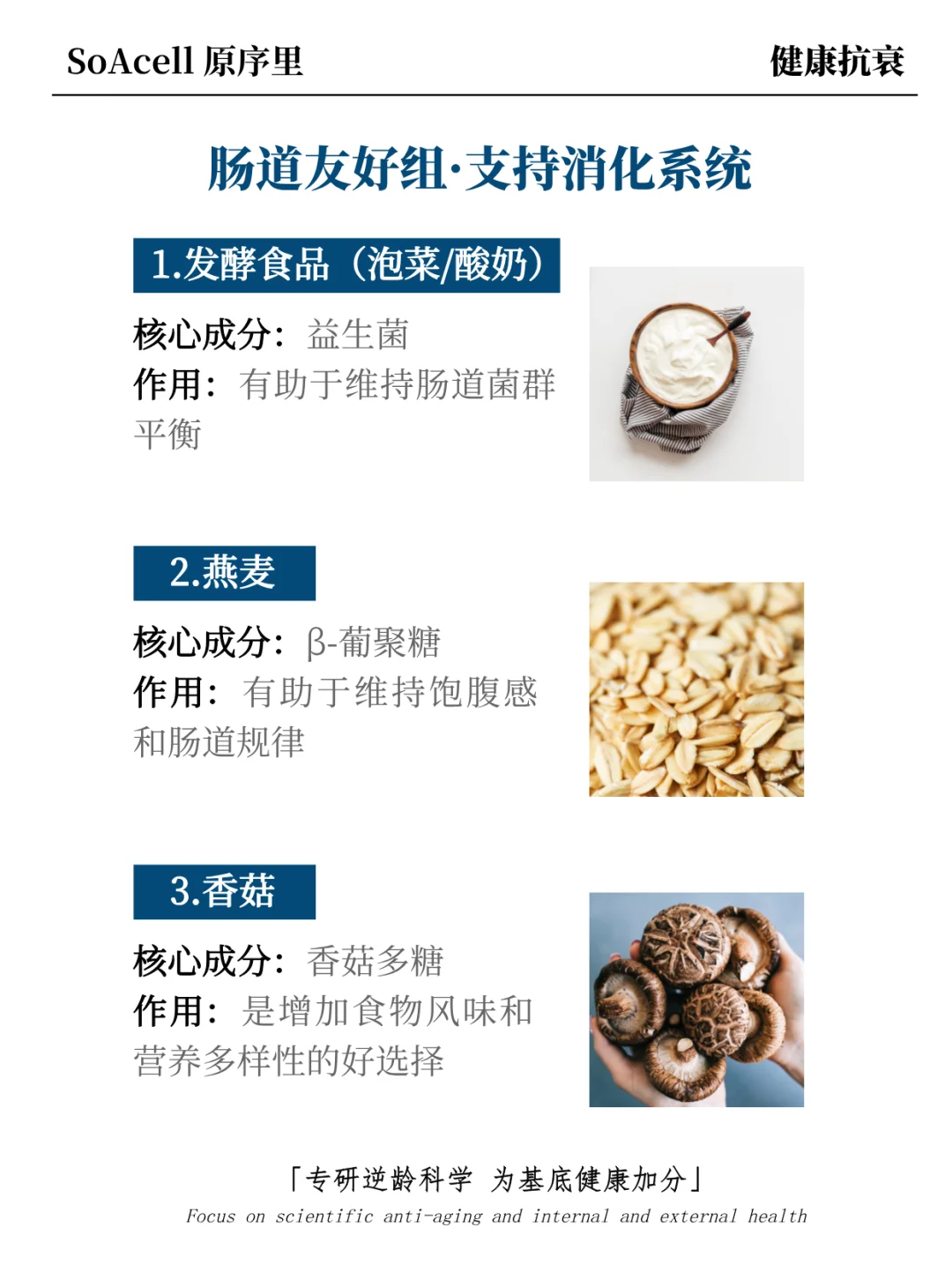 吃出好状态，20种常被营养师提及的食物