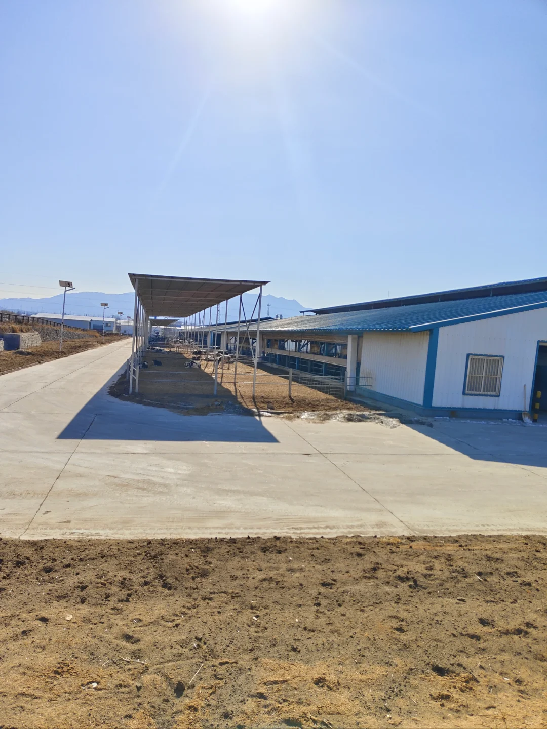 君乐宝工场实拍