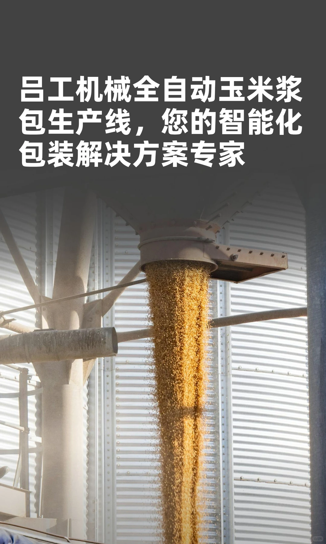 智领未来，包罗万象—全自动玉米浆包生产线