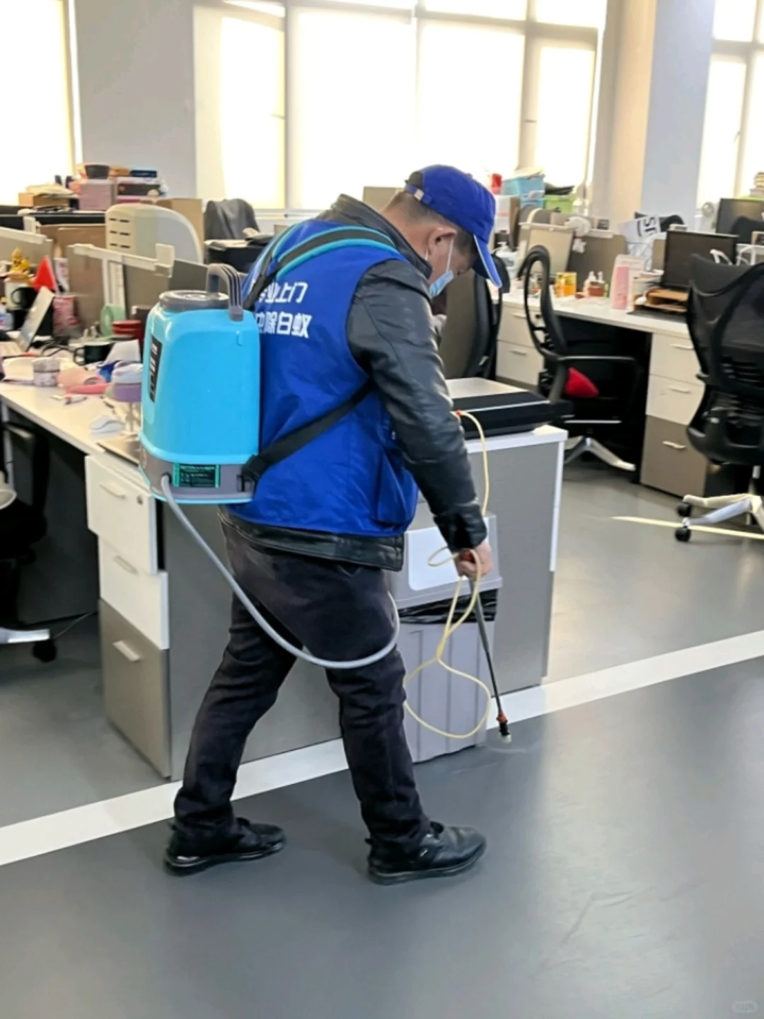 上海公司虫害消杀|精准勘察，杜绝虫害滋生