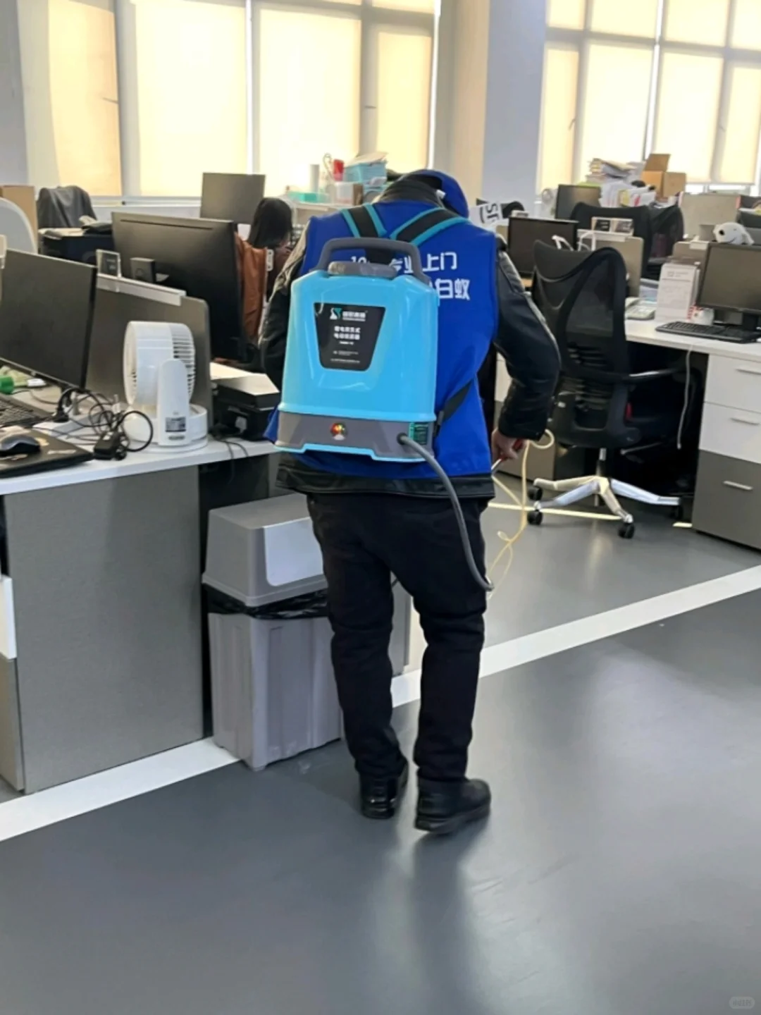 上海公司虫害消杀|精准勘察，杜绝虫害滋生