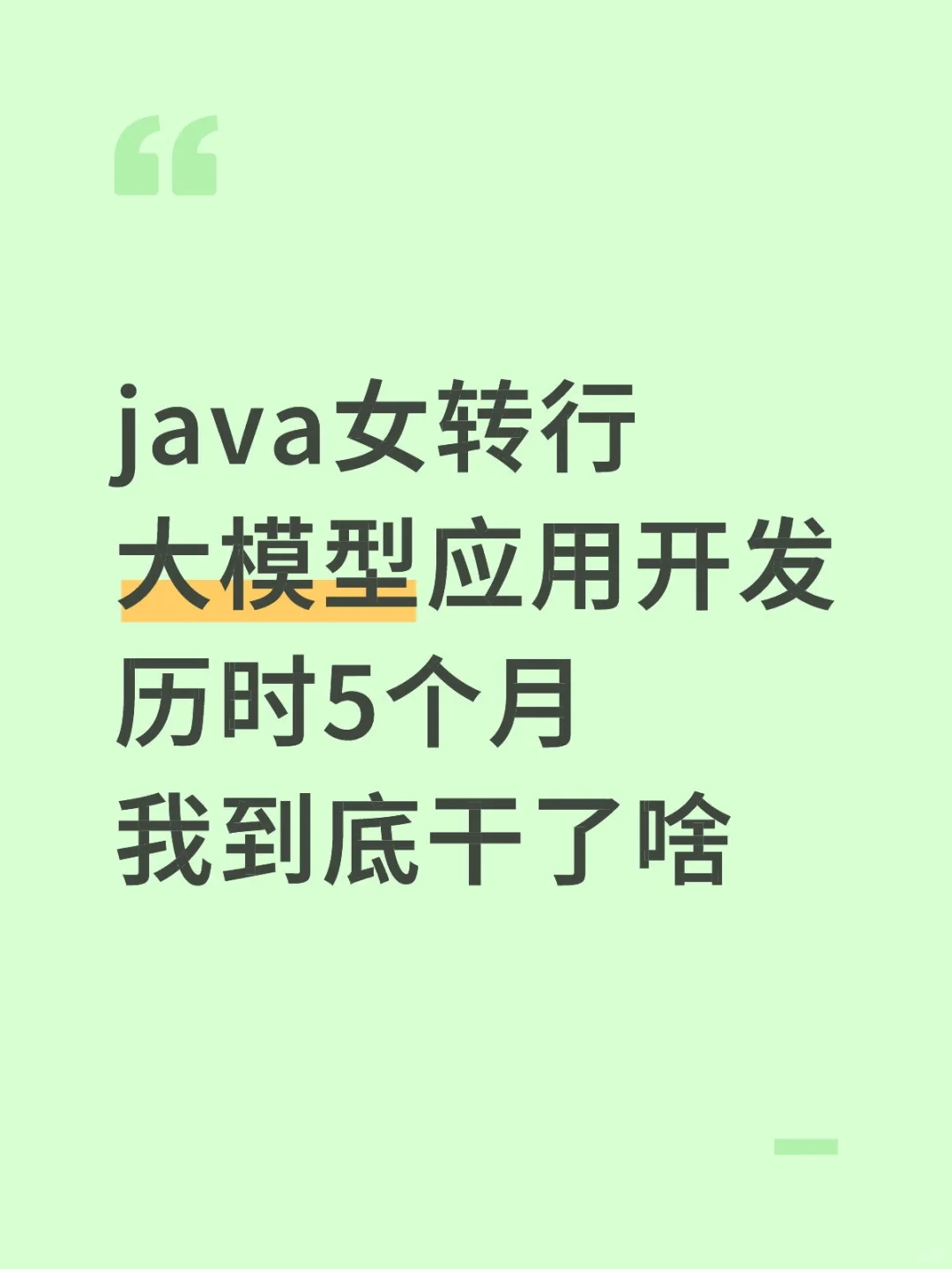 java转大模型的5个月,我到底干了啥