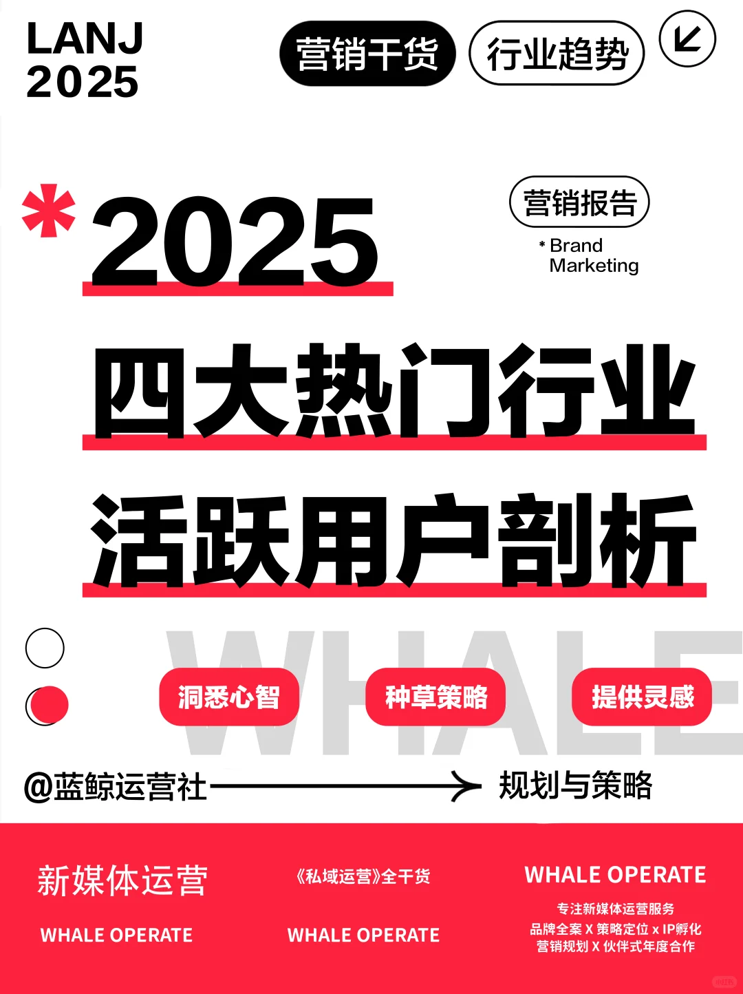 行业报告|2025四大热门行业用户洞察