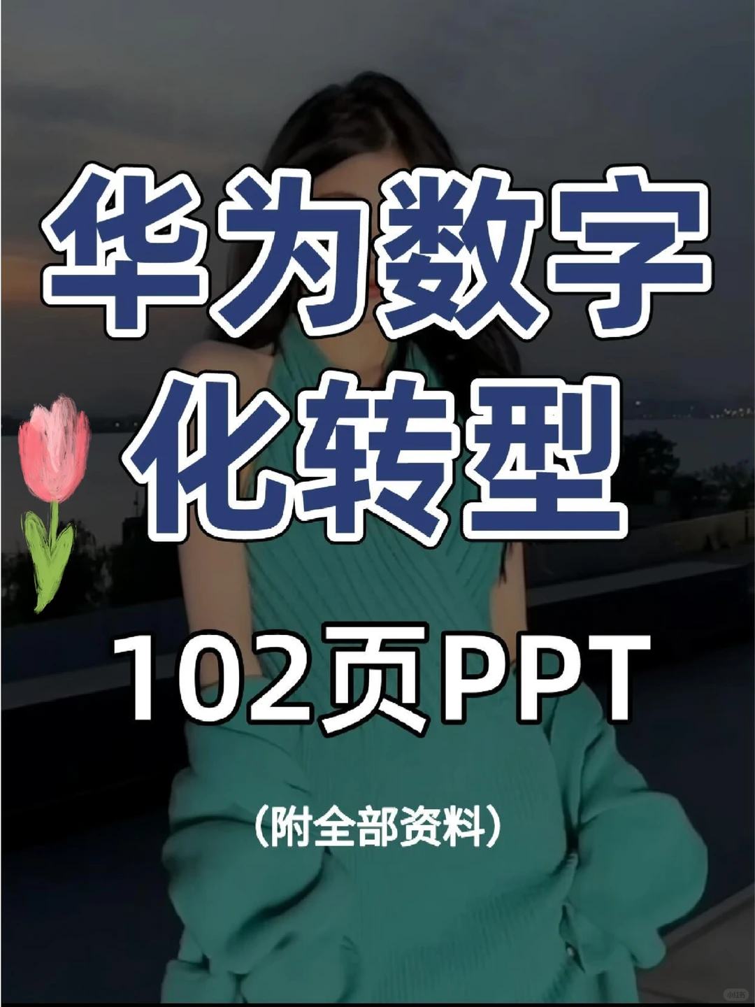 华为数字化转型102页PPT|