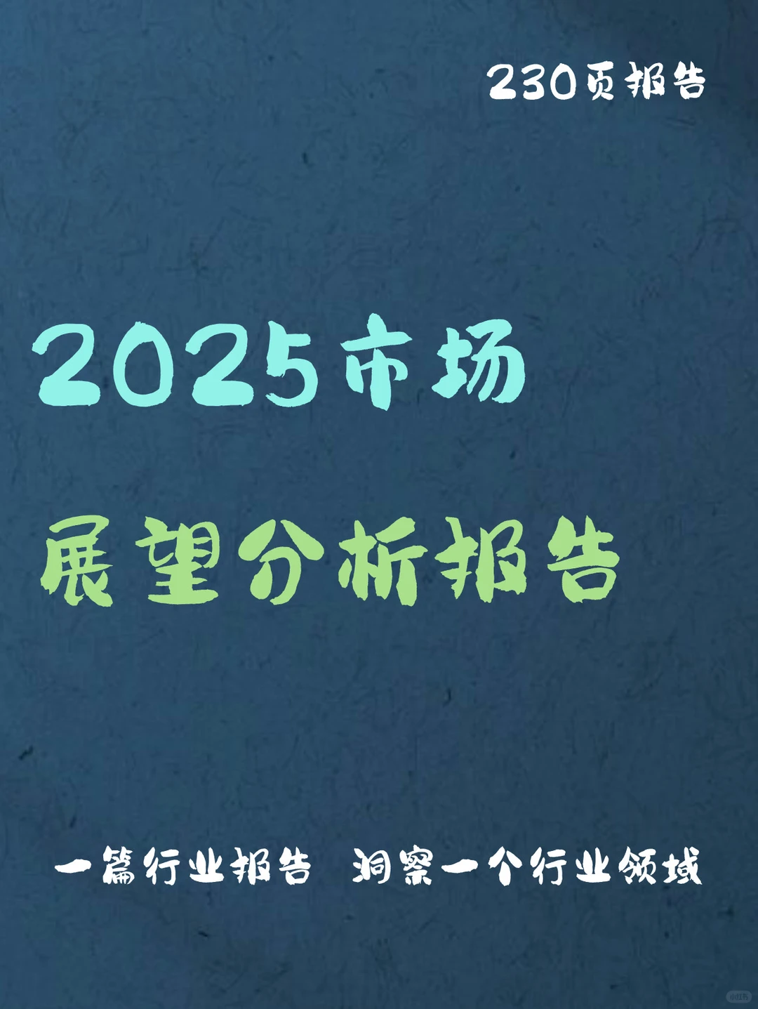 2025年市场展望报告