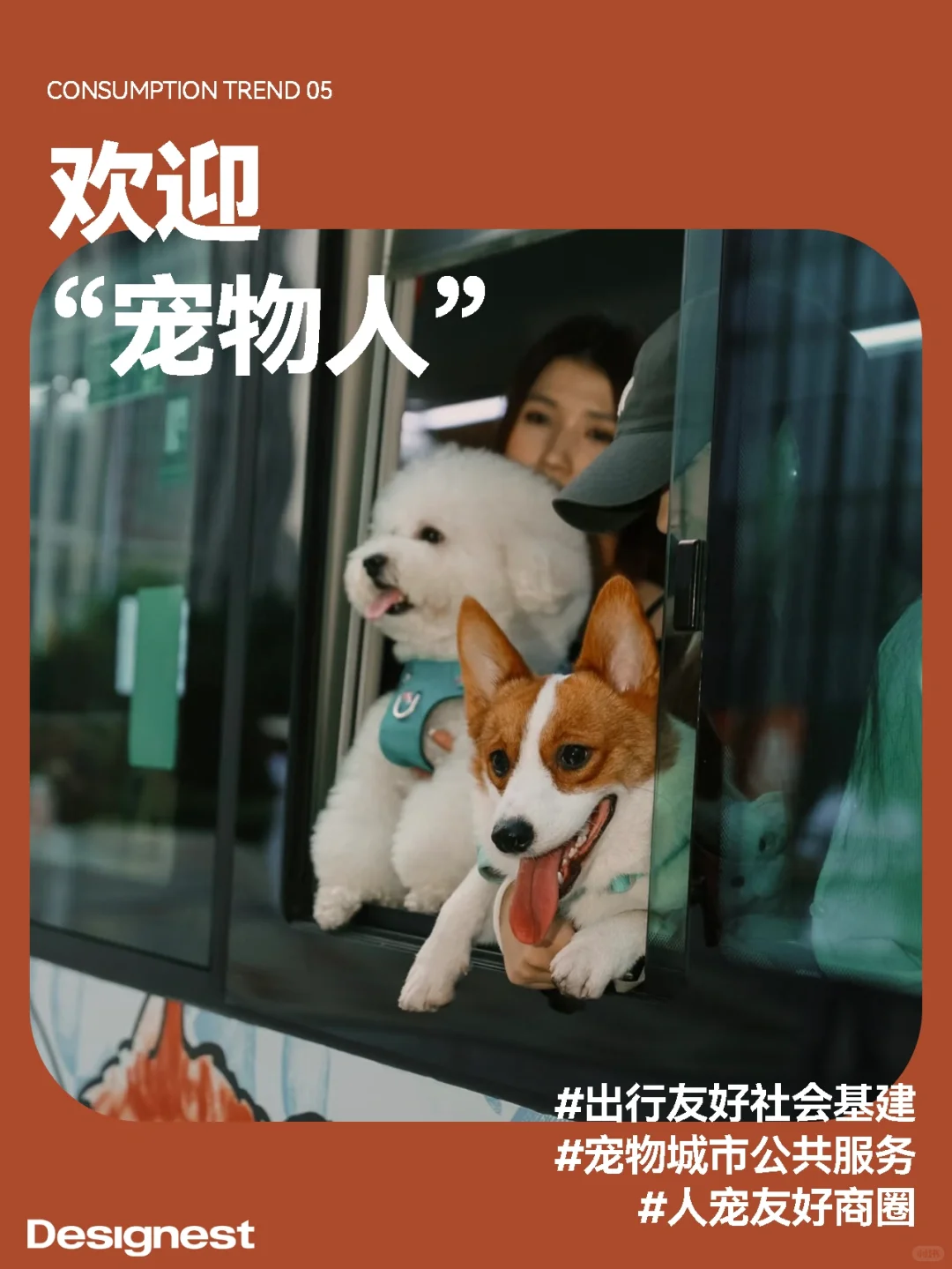 云巢独家|2025六大新消费趋势场景
