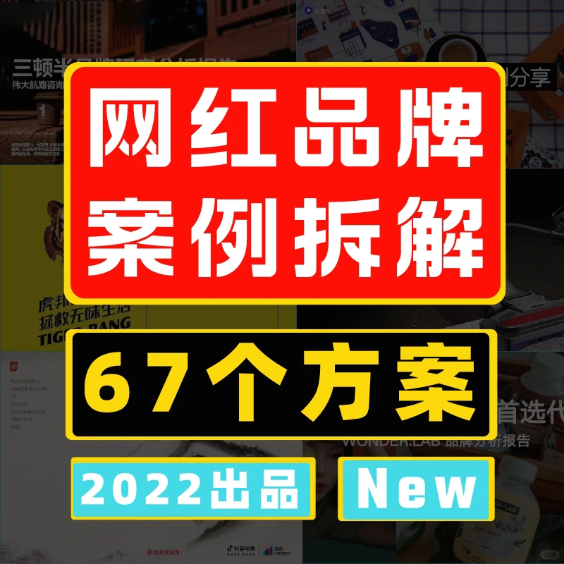 解锁私域增长密码：网红新消费运营宝典?