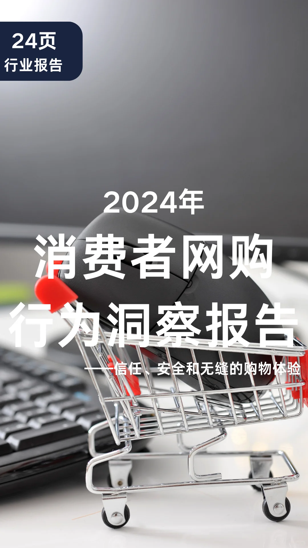 24页报告|2024年消费者网购行为洞察报告