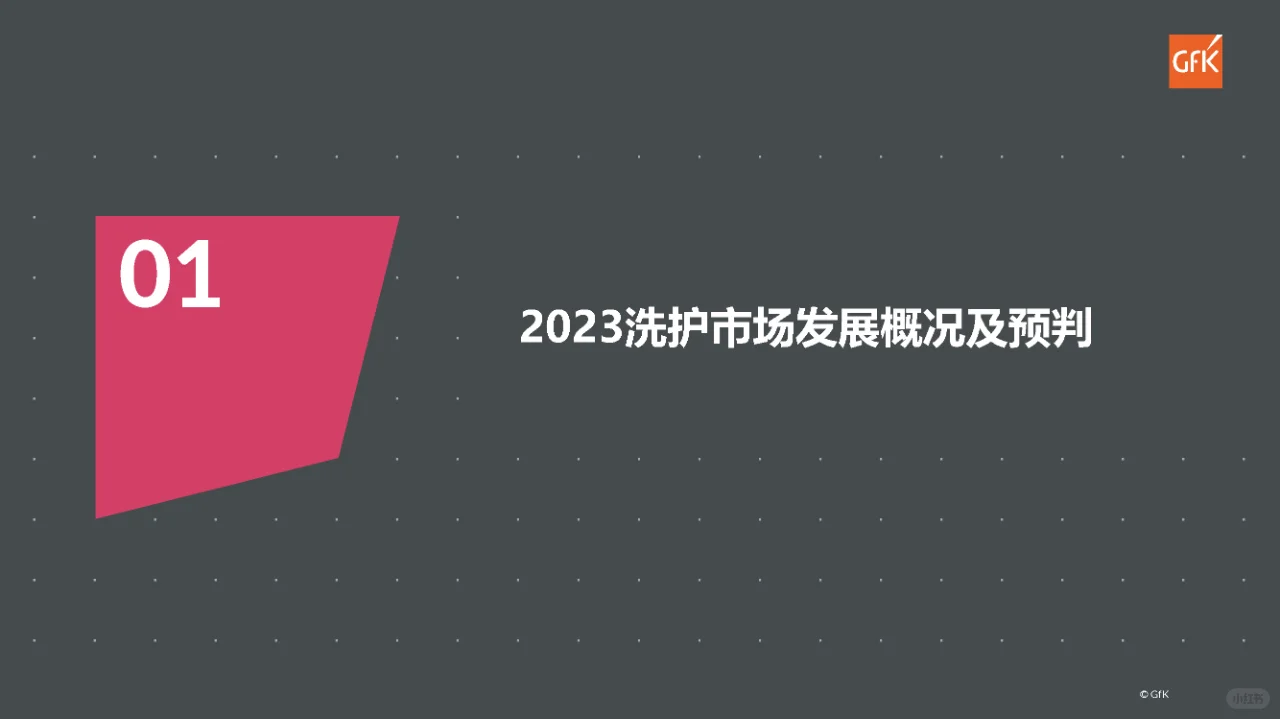 行业报告｜家庭洗护市场大展趋势展望报告