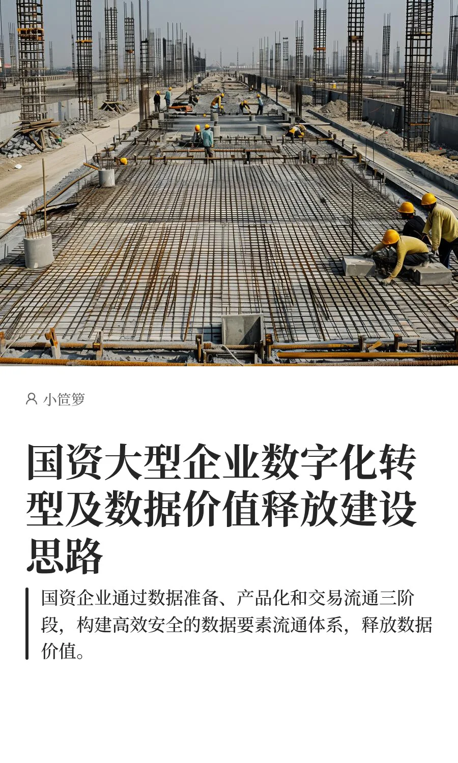 国企大型企业数字化转型及数据价值释放建设
