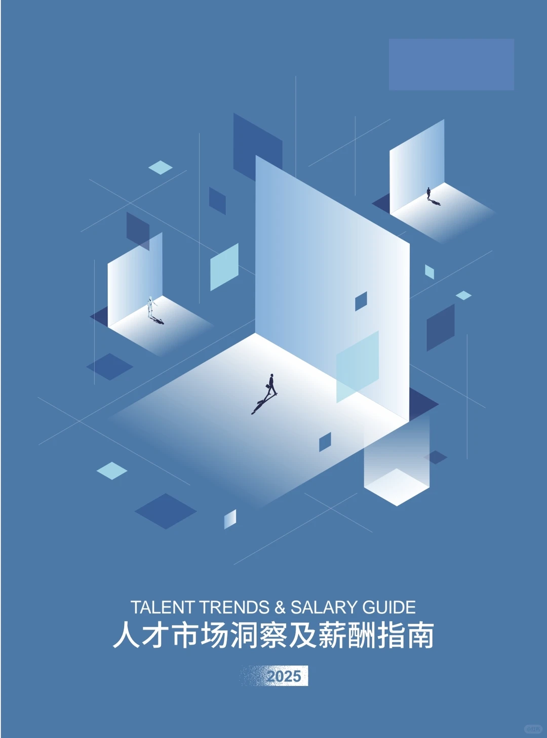 2025人才市场洞察及薪酬指南