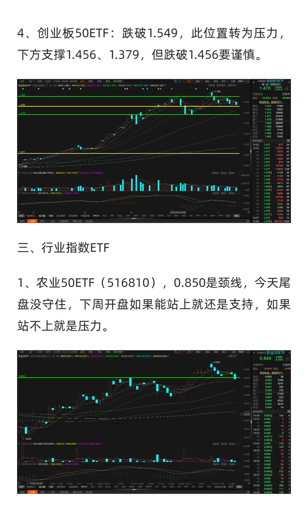 11月17日-11月21日市场展望（2025年）