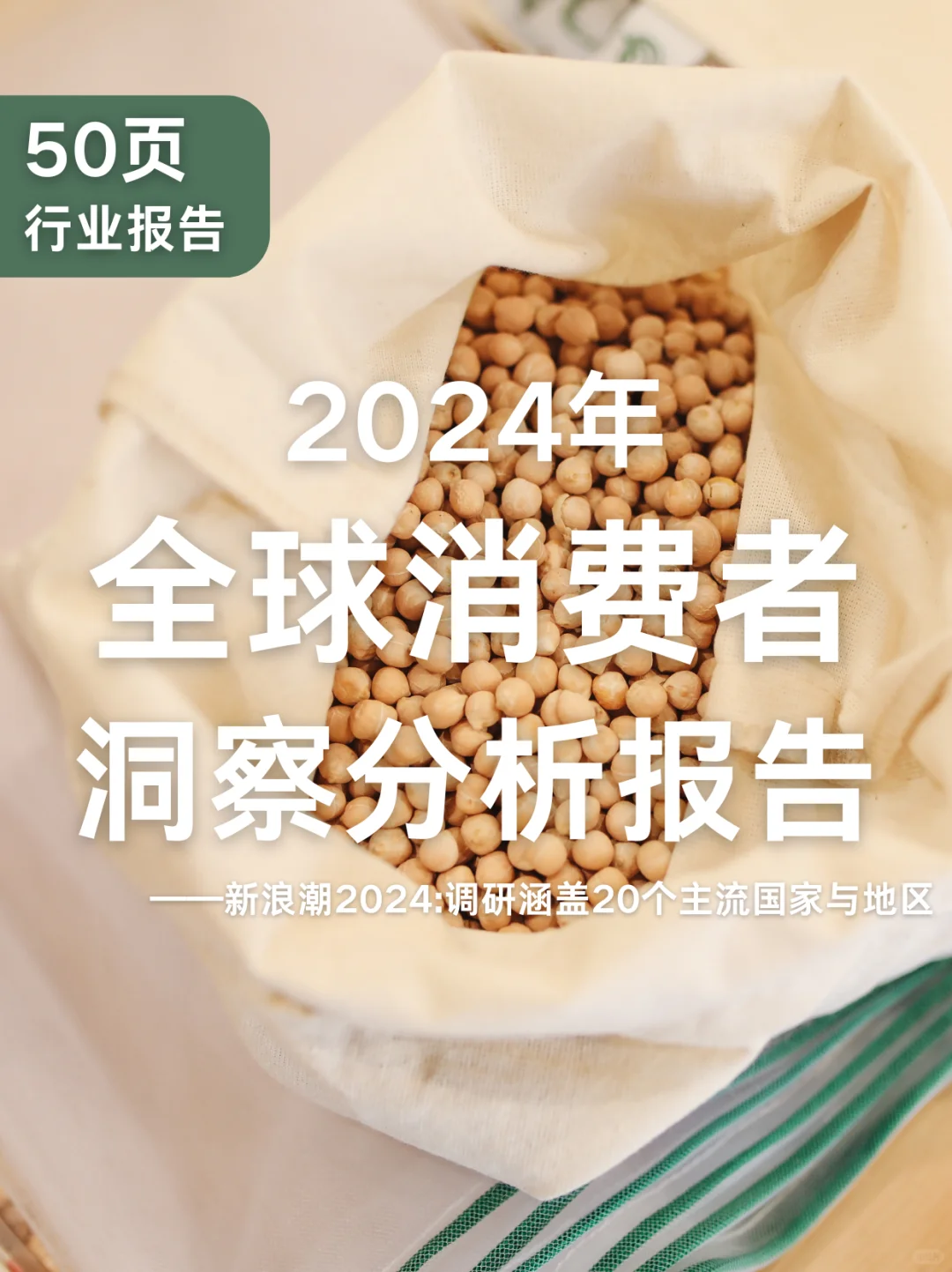 50页报告|2024年全球消费者洞察分析报告