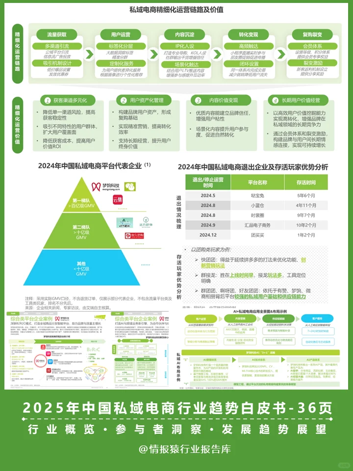 一篇报告读懂2025私域电商行业发展现状