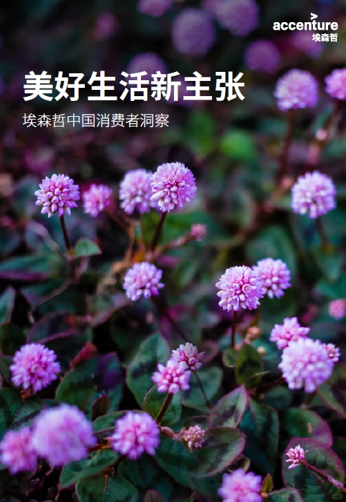 中国消费者洞察:美好生活新主张