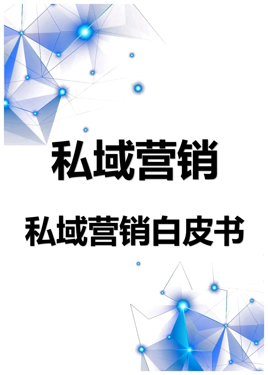 公域的尽头是私域，私域营销白皮书