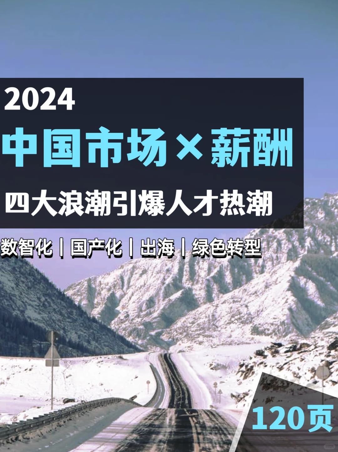 职场干货?|2024市场展望与薪酬报告