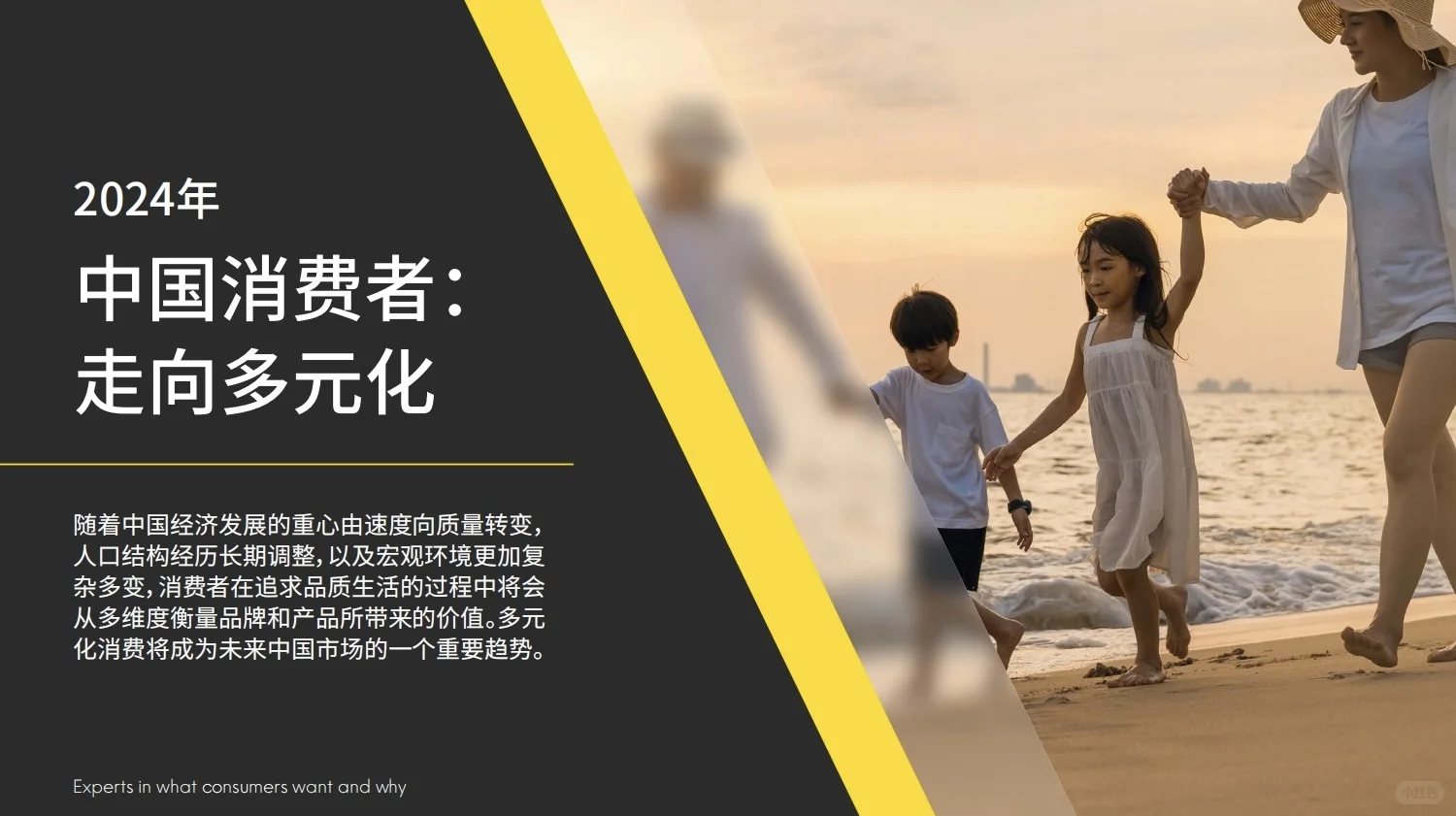 多元化消费未来|2024中国消费者洞察报告